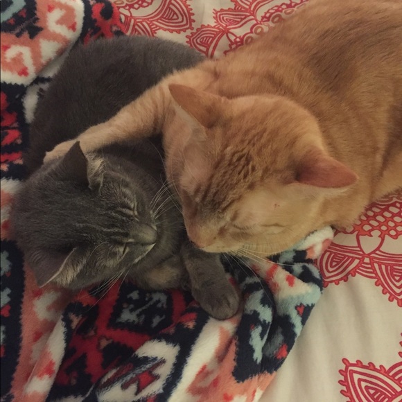 Meet your Posher, Emily Katherine - Picture 5 of 5